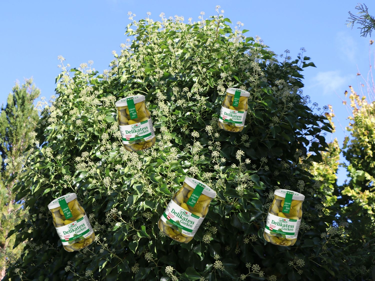 De Efkostaudn